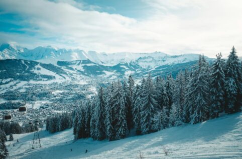 A snowy mountain with trees and snow covered slopes