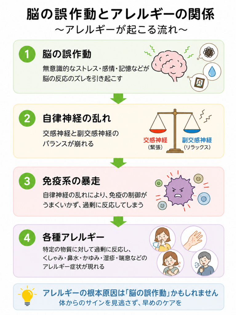 脳の誤作動とアレルギー（花粉症・皮膚炎・喘息）の関係を図解｜福岡市博多駅前のてんびんカイロプラクティック