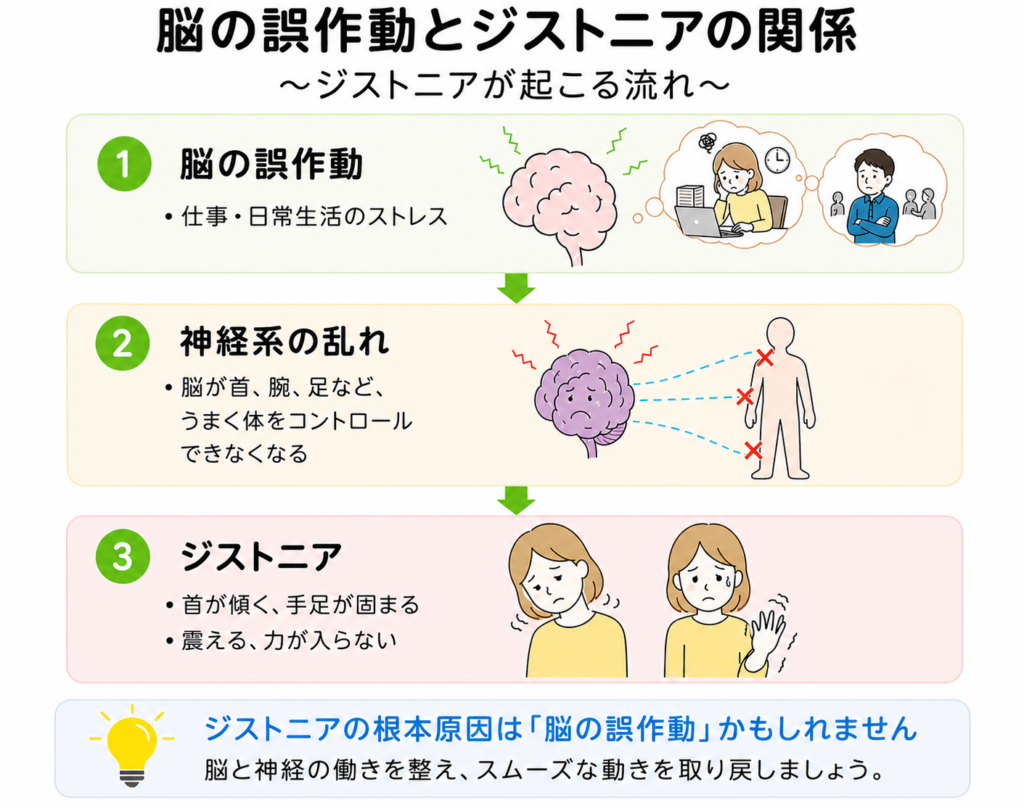 脳の誤作動とジストニアの関係を4つのステップで説明する図。1.仕事やストレスによる脳の誤作動、2.神経系の乱れによるコントロール不全、3.首の傾きや手足の固まりといったジストニア症状の発症、最後にてんびんカイロによる脳と神経の働きの調整を提案しています。