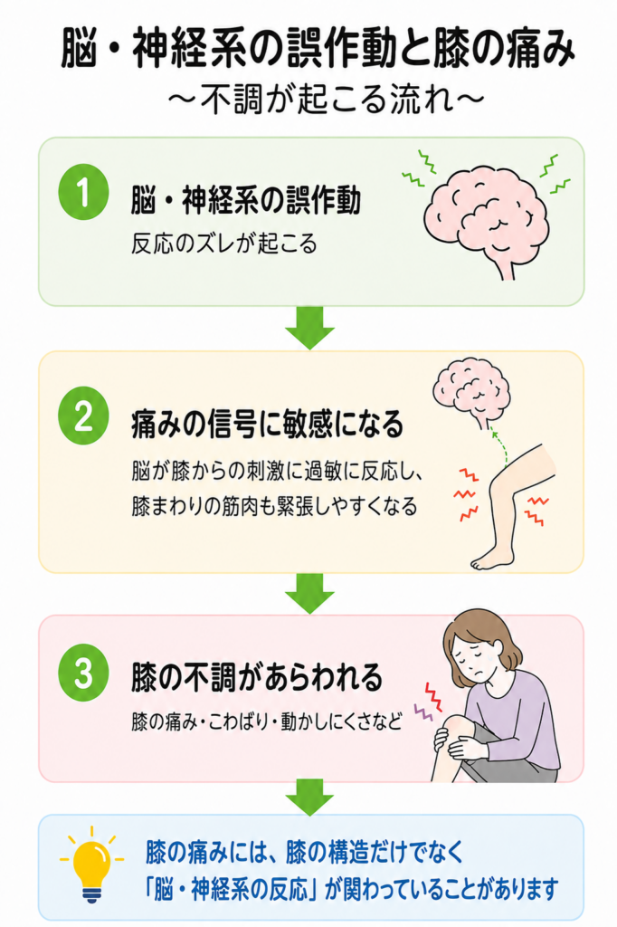 膝の痛みと脳神経系の誤作動の関係を表した図