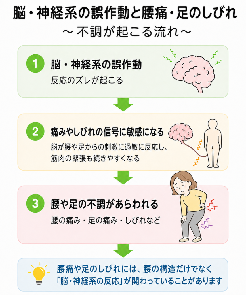 腰痛と脳・神経系の誤作動を表した図