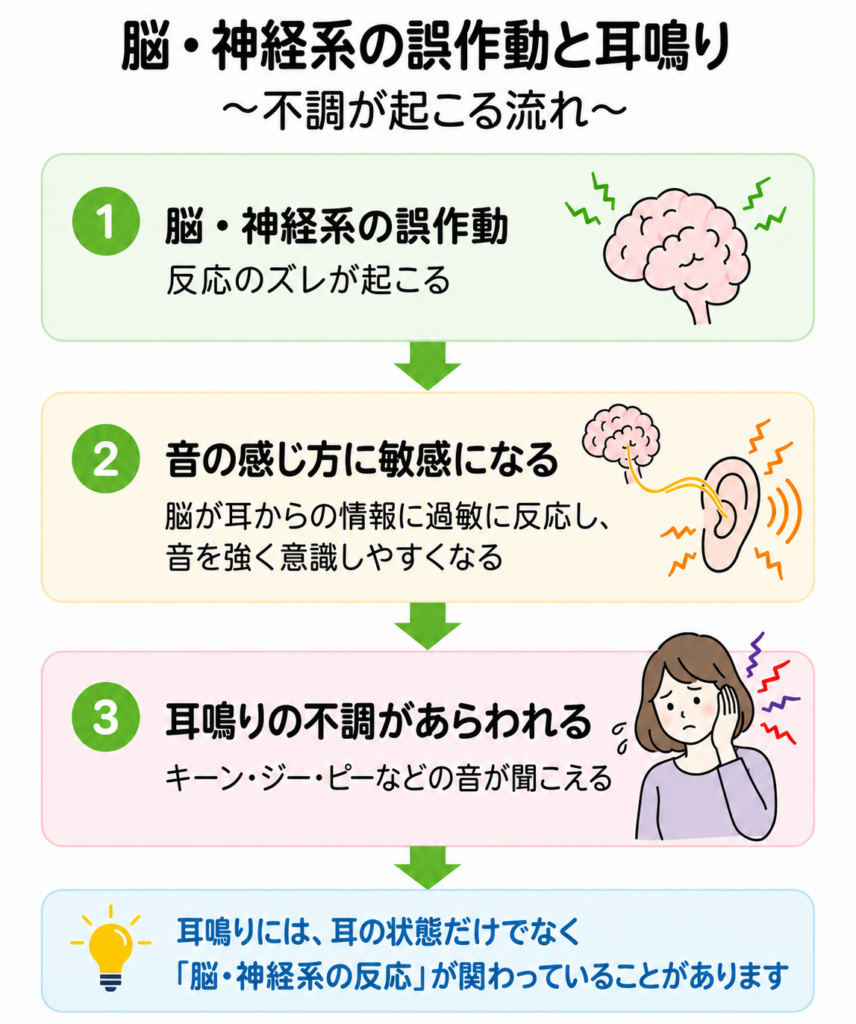 脳・神経系の誤作動によって音の感じ方に敏感になり、キーン・ジー・ピーなどの耳鳴りがあらわれる流れを説明した図。
