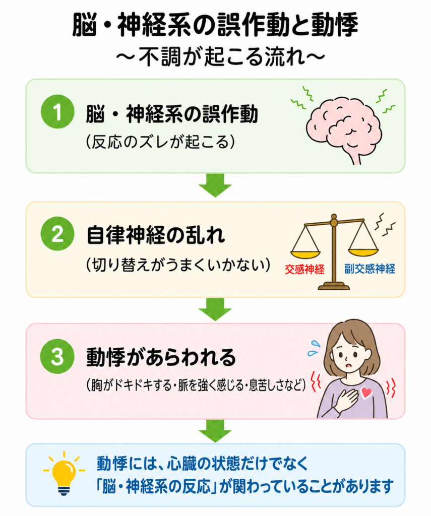脳・神経系の誤作動から自律神経が乱れ、胸のドキドキや脈を強く感じる、息苦しさなどの動悸があらわれる流れを説明した図。